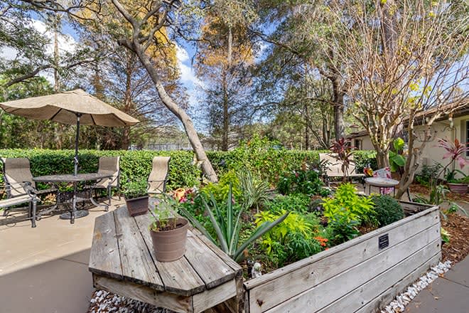 Brookdale Tarpon Springs patio