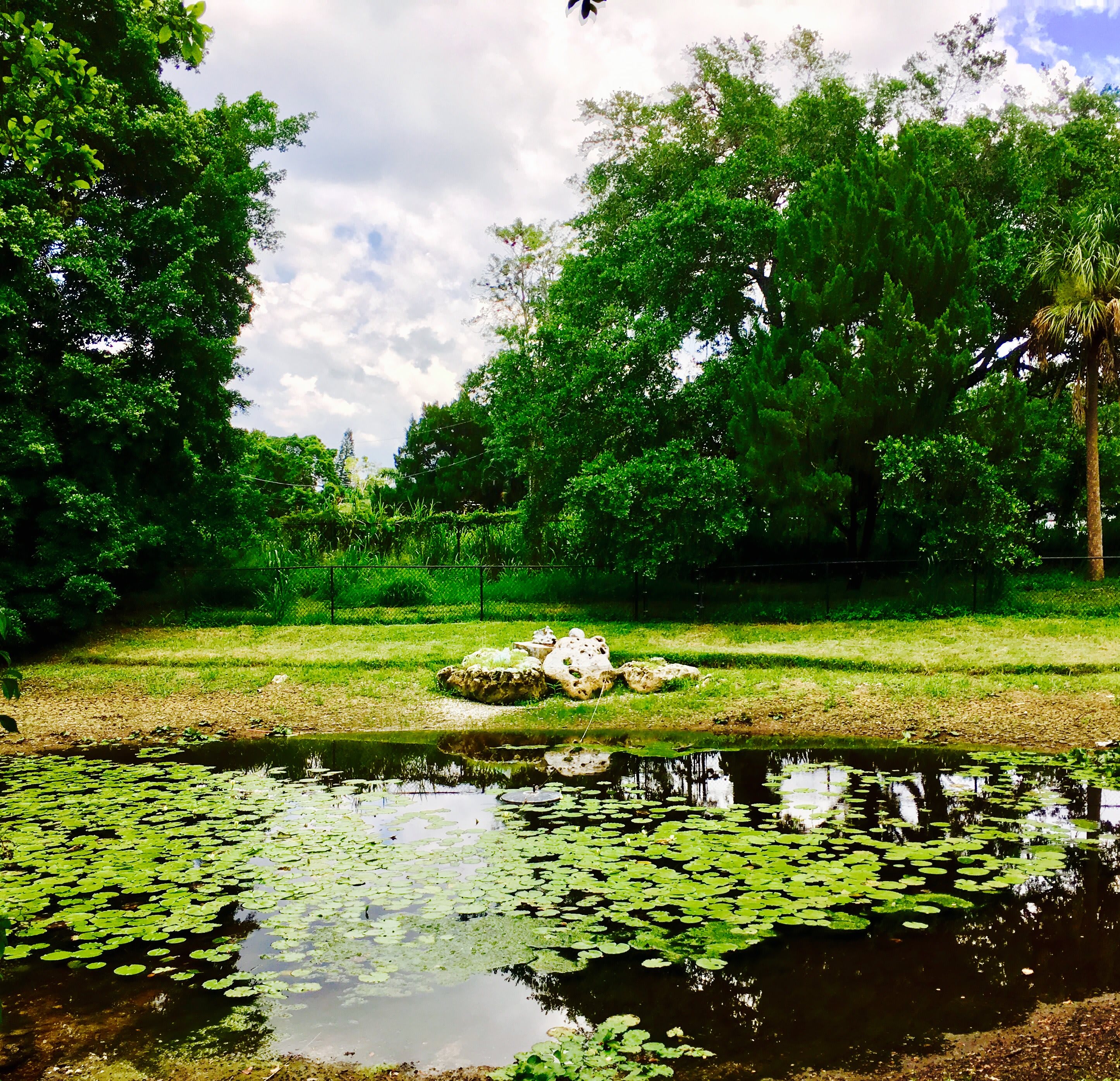 Langdon Hall pond