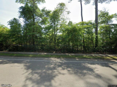 Photo of Evergreens at Mahan