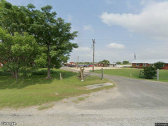 Photo of Live Oak
