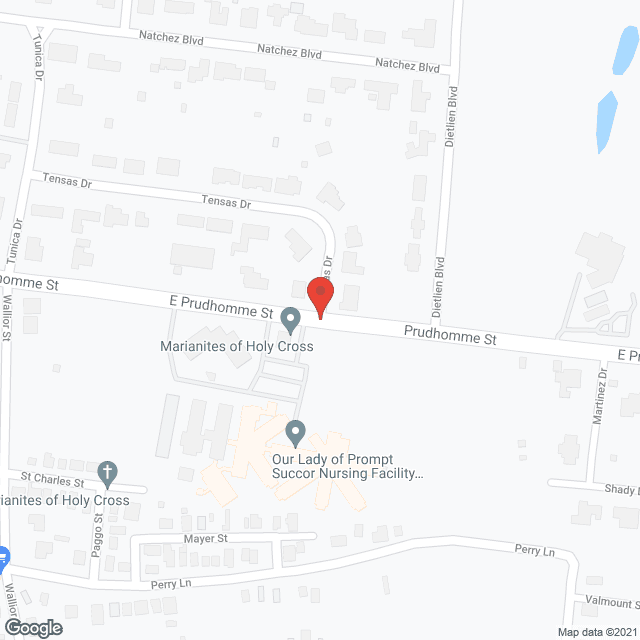 Prompt Succor Nursing Home in google map