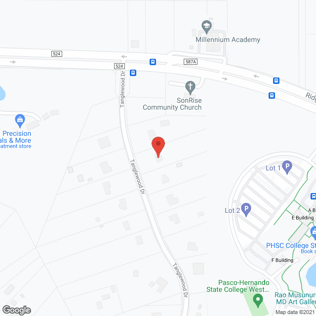 Precious Family Home Care in google map