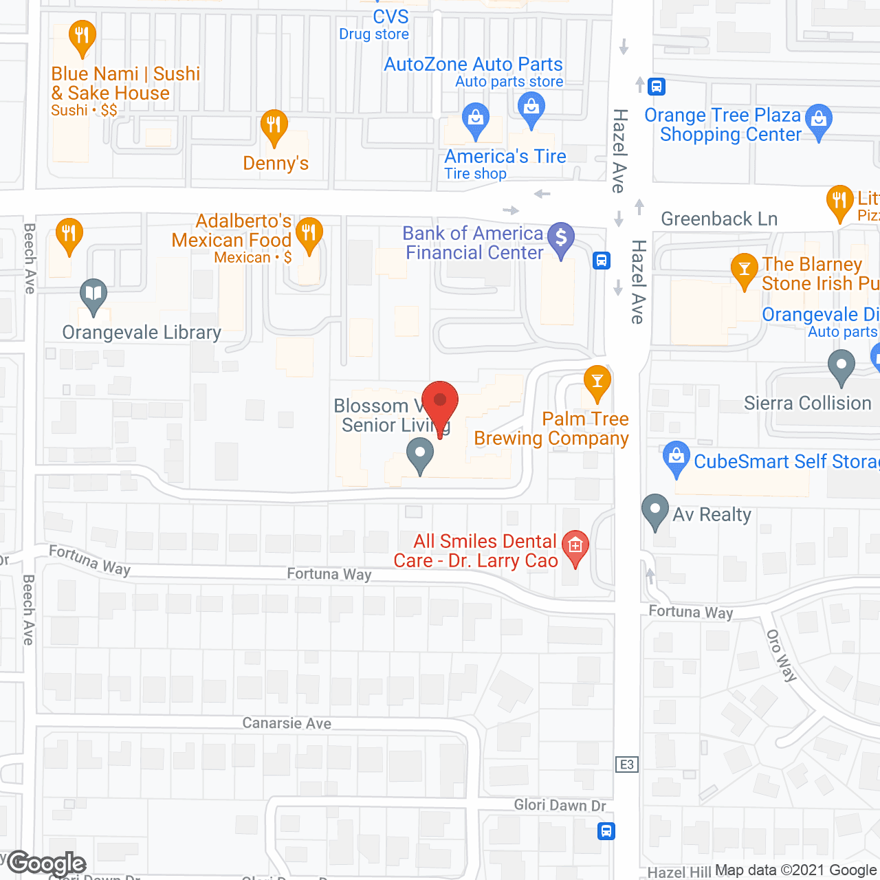 Map of the neighborhood around Blossom Vale Senior Living
