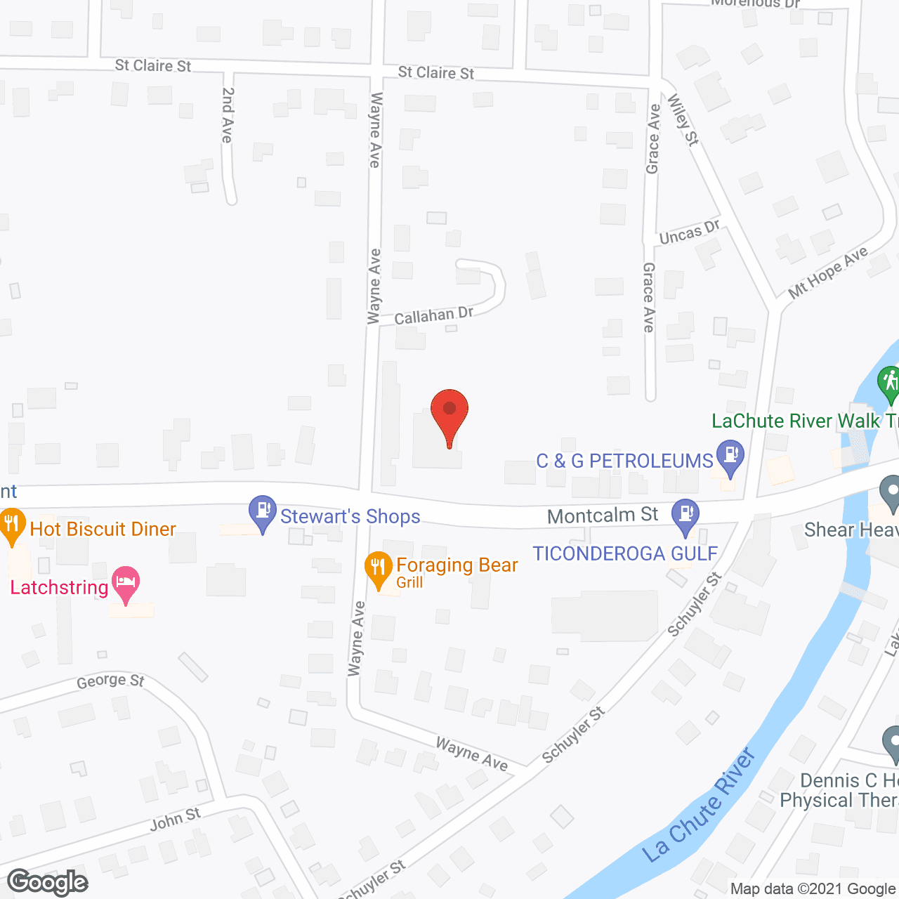 Map of the neighborhood around Montcalm Manor Adult Home