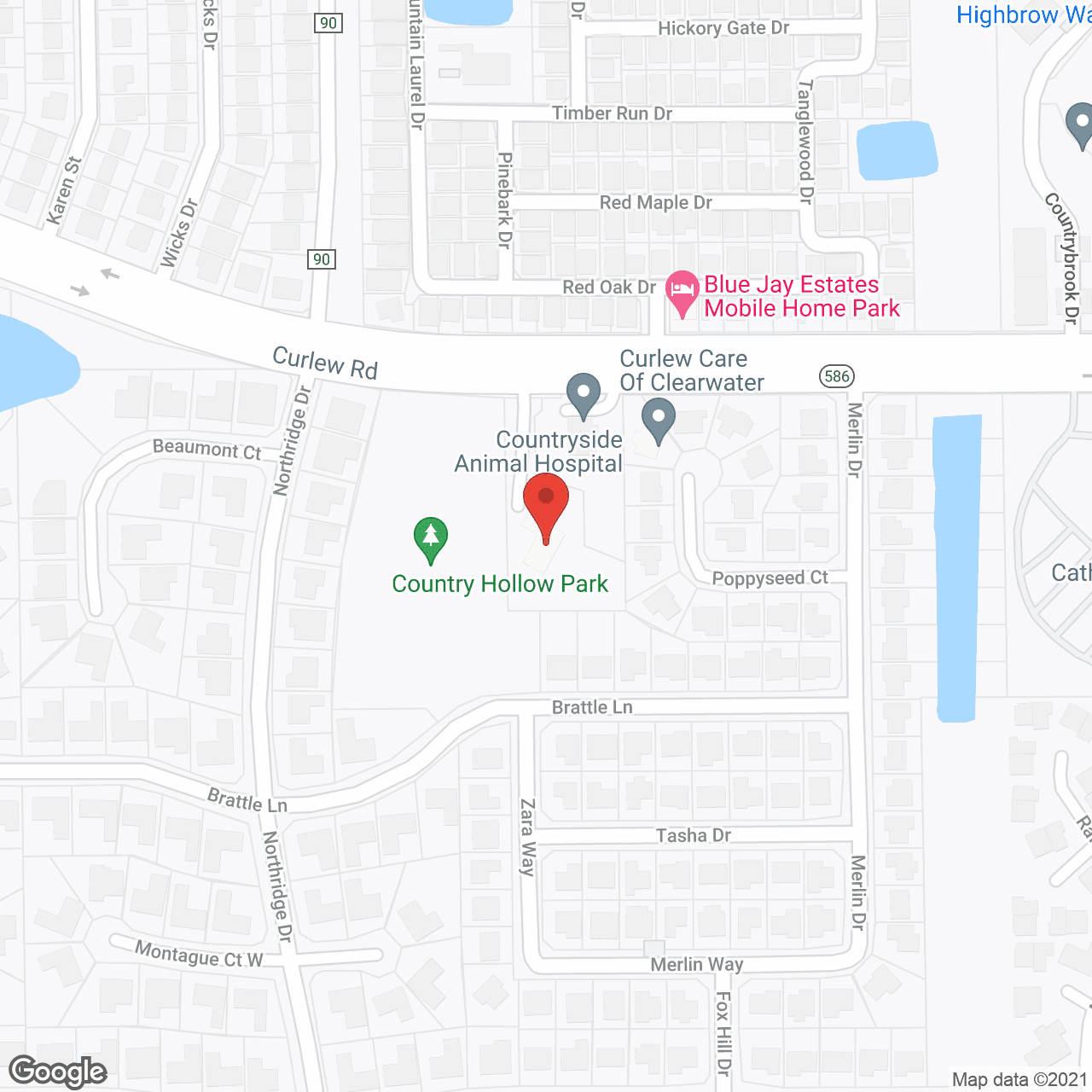 Map of the neighborhood around Curlew Care of Clearwater